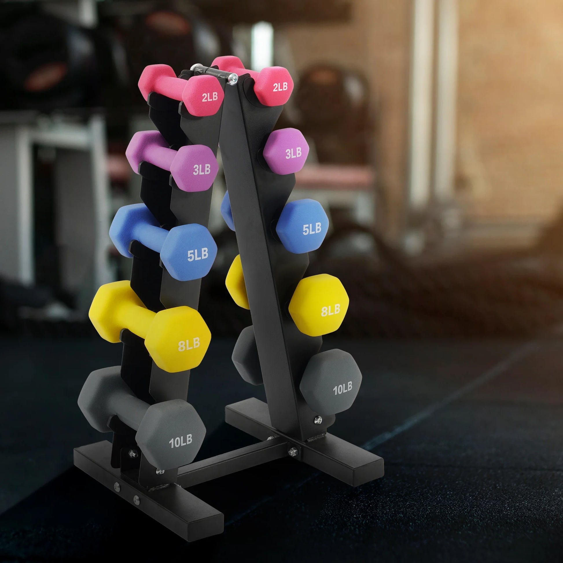 Dumbbell Set with Stand (2Lbs, 3Lbs, 5Lbs, 8Lbs, 10Lbs Set)